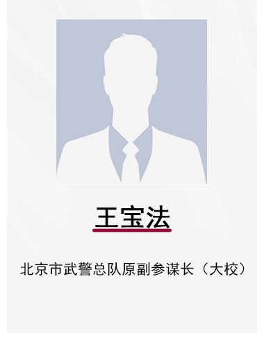 王宝法cn（380x500）.jpg